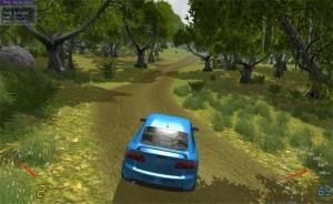 Stunt_Rally_01