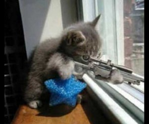 Sniper_Kitty_Flashgame_01