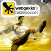 webgekkosSoccerV3-04.swf